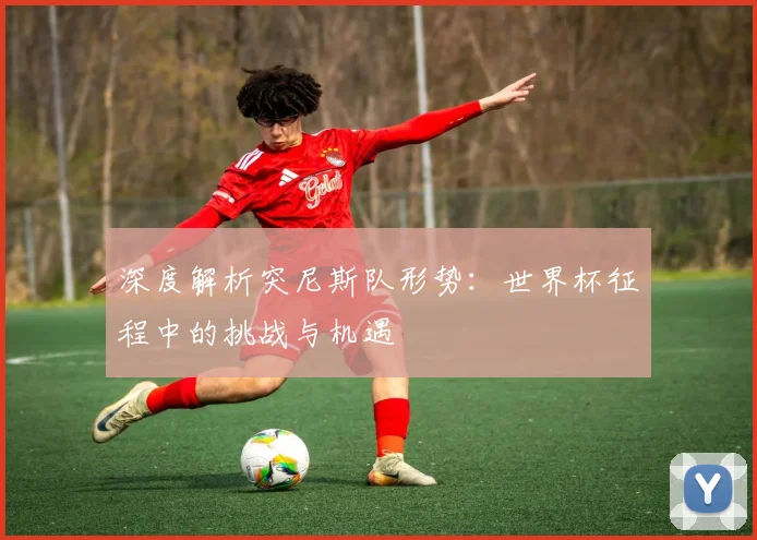 深度解析突尼斯队形势:世界杯征程中的挑战与机遇