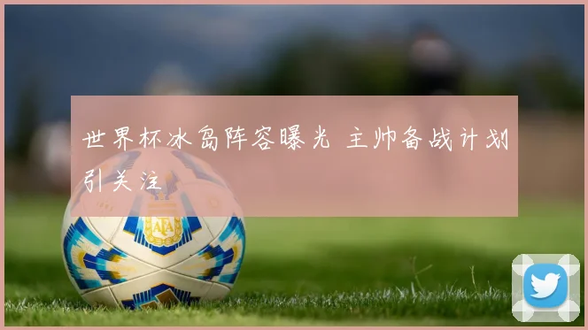 世界杯冰岛阵容曝光 主帅备战计划引关注