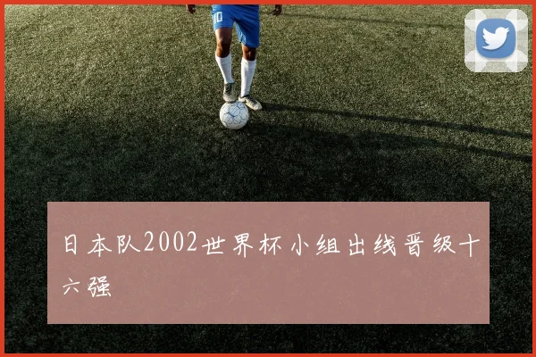 日本队2002世界杯小组出线晋级十六强