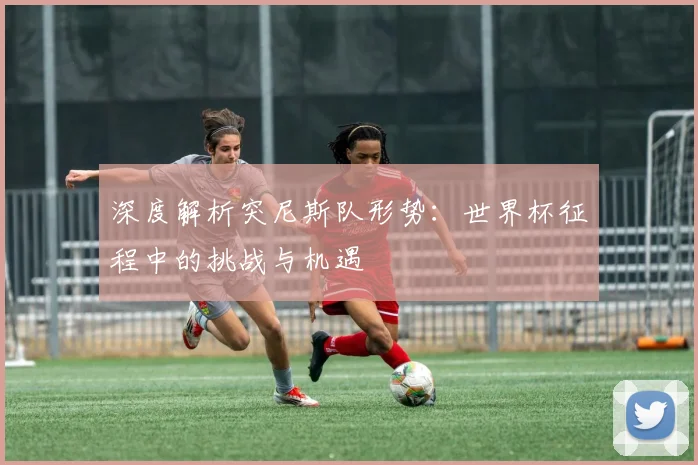 深度解析突尼斯队形势：世界杯征程中的挑战与机遇