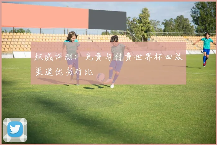 权威评测:免费与付费世界杯回放渠道优劣对比