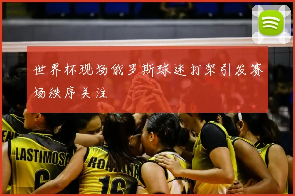 世界杯现场俄罗斯球迷打架引发赛场秩序关注