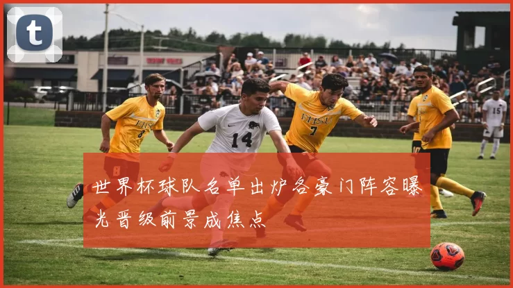 世界杯球队名单出炉各豪门阵容曝光晋级前景成焦点