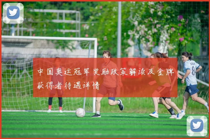 中国奥运冠军奖励政策解读及金牌获得者待遇详情