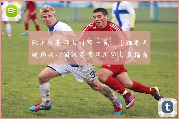 欧洲杯赛程与对阵一览：小组赛关键场次、淘汰赛晋级形势与直播看点