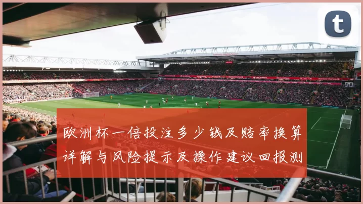 欧洲杯一倍投注多少钱及赔率换算详解与风险提示及操作建议回报测算